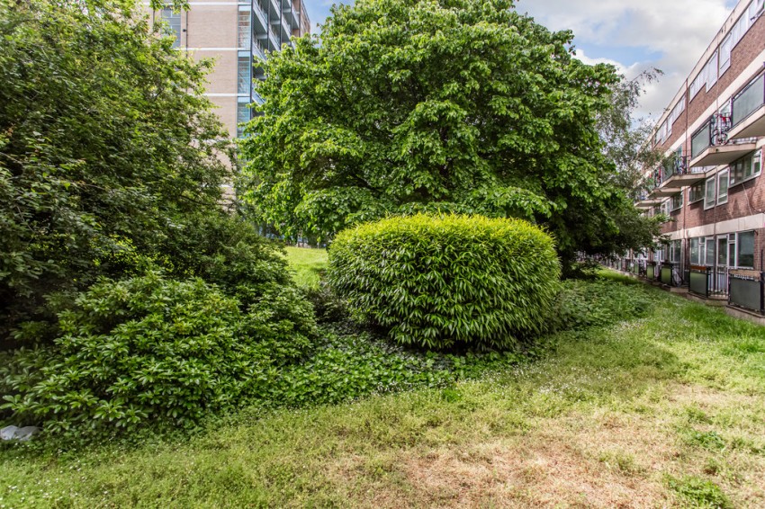 Images for Burley House, Limehouse, London